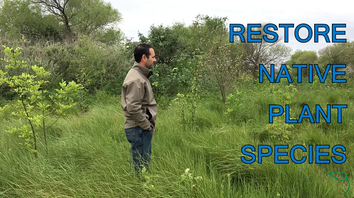 Farmers Focusing on Habitat Restoration