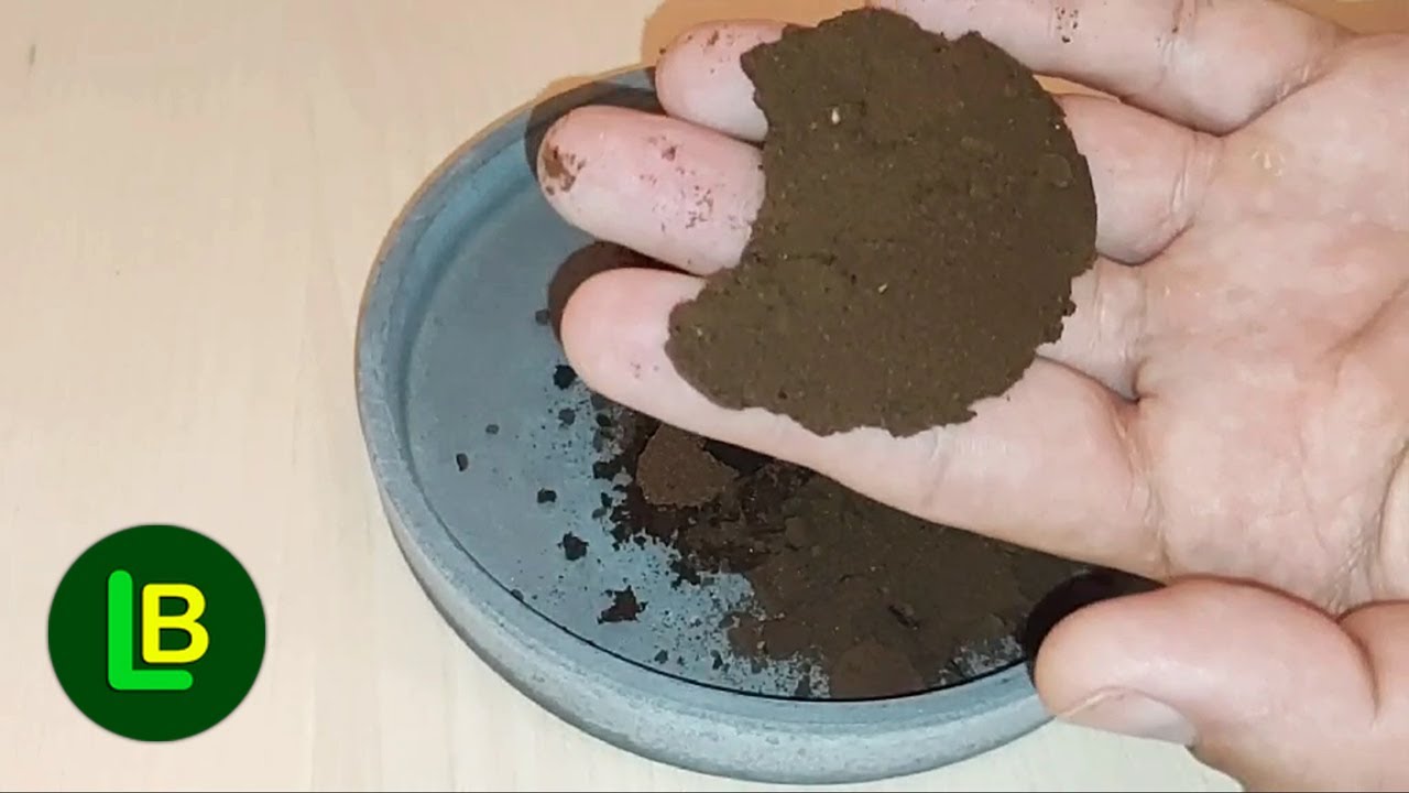 Увидев это, вы больше никогда не будете выбрасывать кофейную гущу в отходы.