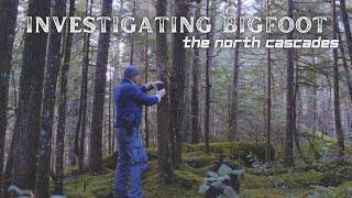 Investigating Bigfoot | The North Cascades