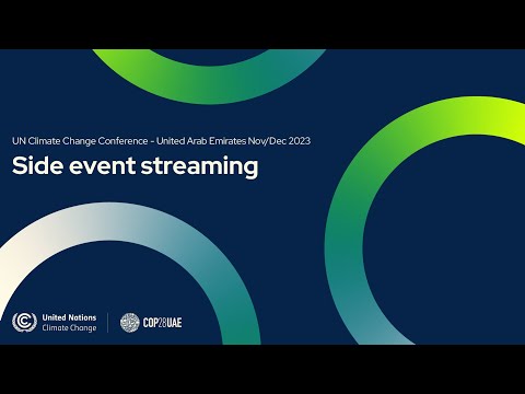 Climate Finance: the role of the Climate Funds in supporting developing countries