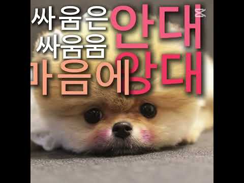 싸움은 앙대
