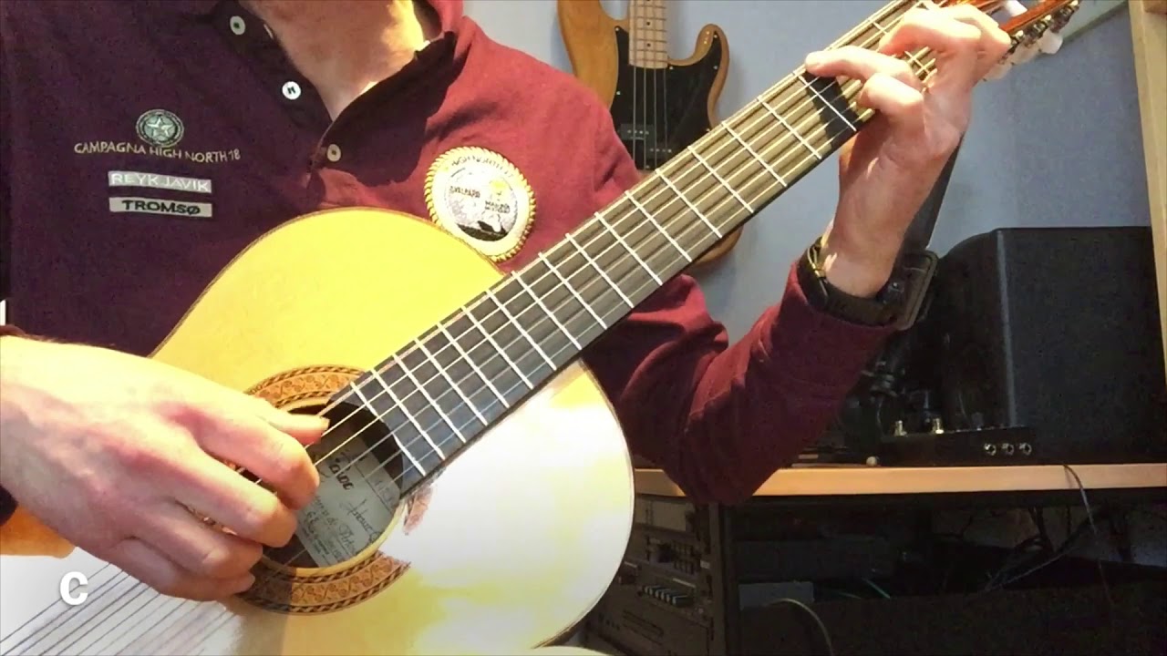 canon guitare électrique