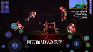 泰拉瑞亞【1.4大師模式】肉前血月釣魚教學—輕鬆獲得所有戰利品