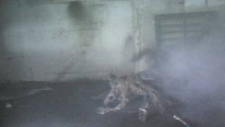 jumping attack spider haunted house prop
