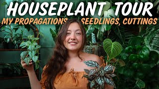 INDOOR PLANT TOUR | My entire Propagation Collection