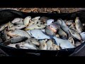 Как поймать много Рыбы на Фидер Ранней Весной??!!