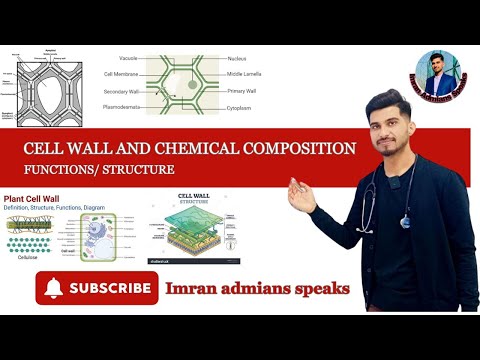 Cell wall || structure || functions || chemical composition || - YouTube