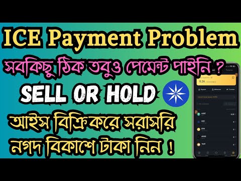 ICE Mining Payment Problem Solve 