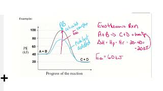 Kinetics exam review