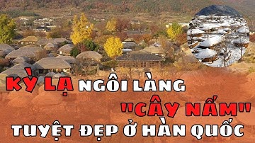 Kỳ lạ ngôi làng "CÂY NẤM" tuyệt đẹp ở phía Nam Hàn Quốc - không nên bỏ lỡ!!! || Bạn Biết Chưa?