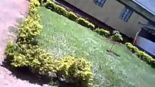 6 Muteesa Kakeeka
