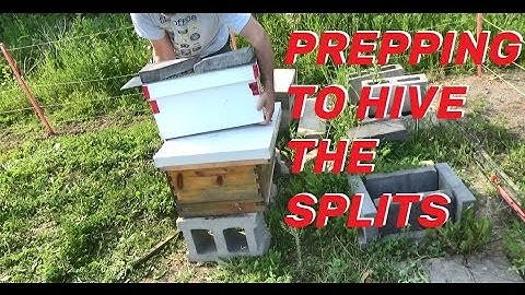 Beginner Beekeeping Split Prep. Getting Ready To Hive The Splits.