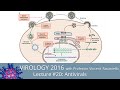 Virology Lectures 2016 #20: Antivirals