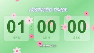 1 HOUR GREEN AESTHETIC TIMER | LOCK IN