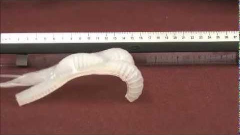 The Amazing Crawling Soft Robot !!!