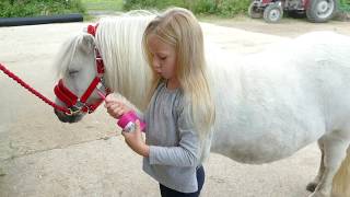 How to groom and look after your Shetland Pony Tutorial with Harlow White Age 5 screenshot 2