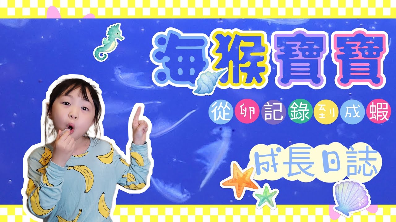 【神秘】海猴寶寶從卵到完全體『鹽水豐年蝦甲殼類浮游生物』科學實驗『海中精靈跳芭蕾』★波小希玩具開箱PonyoTV#12 - YouTube