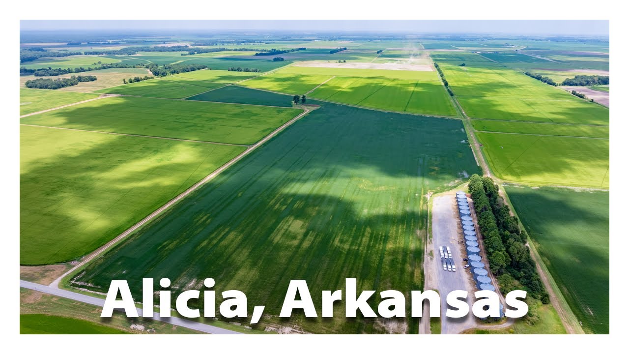 Land for Sale | Lawrence Road 556 Alicia, AR 72410 Listed at $1,702,400.00