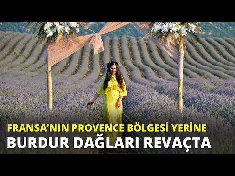 Burdur'un dağlarında mor şölen