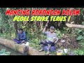 mancing borongan kolam ikan nila strike sepuasnya,habis itu bebas dikuras #mancingborongan