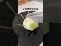 玉ねぎでできる簡単ライフハック #ずんだもん #プチ知識 #一分でわかる