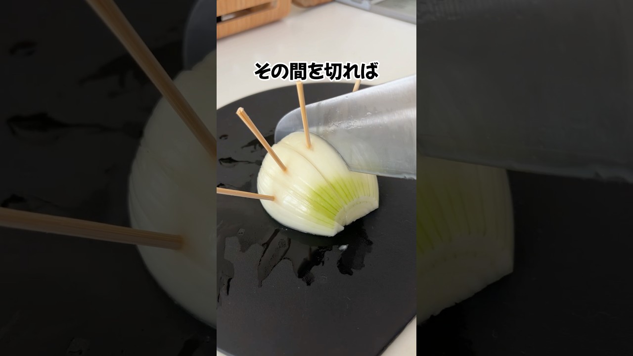 玉ねぎでできる簡単ライフハック #ずんだもん #プチ知識 #一分でわかる