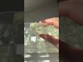 Clear Jello