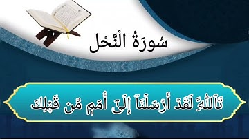 سورة النحل من الأية رقم (51-67) بصوت القارئ ياسر الدوسري