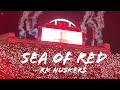 Sea of red  rk huskers