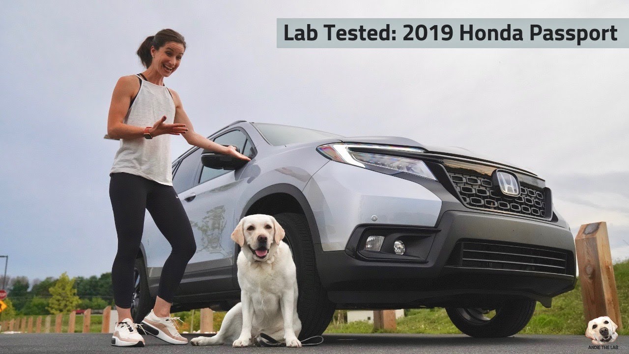 2019 Honda Passport: Andie the Lab Review!