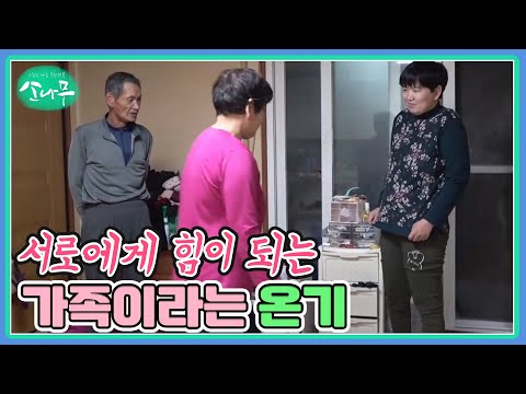 서로에게 힘이 되는 가족이라는 온기 MBN 241028 방송