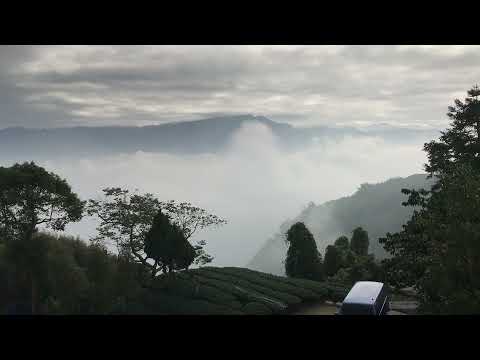 20211219 嘉義1314觀景台雲海 #旅遊 #梅山 #雲海
