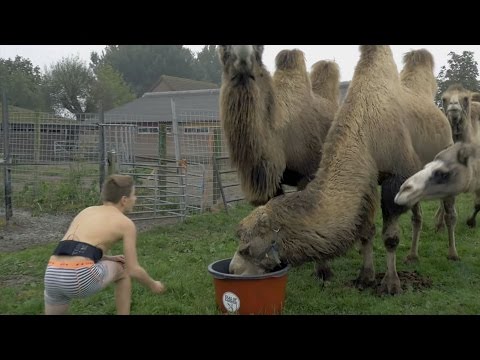 Afl.1 Ontwijk de Kamelen | Kaal of Kammen