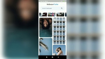 Wallpaper app - Flutter | Pexels Api