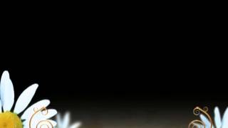 White Flowers - HD Background Loop animation - video,Free Video Downloader
