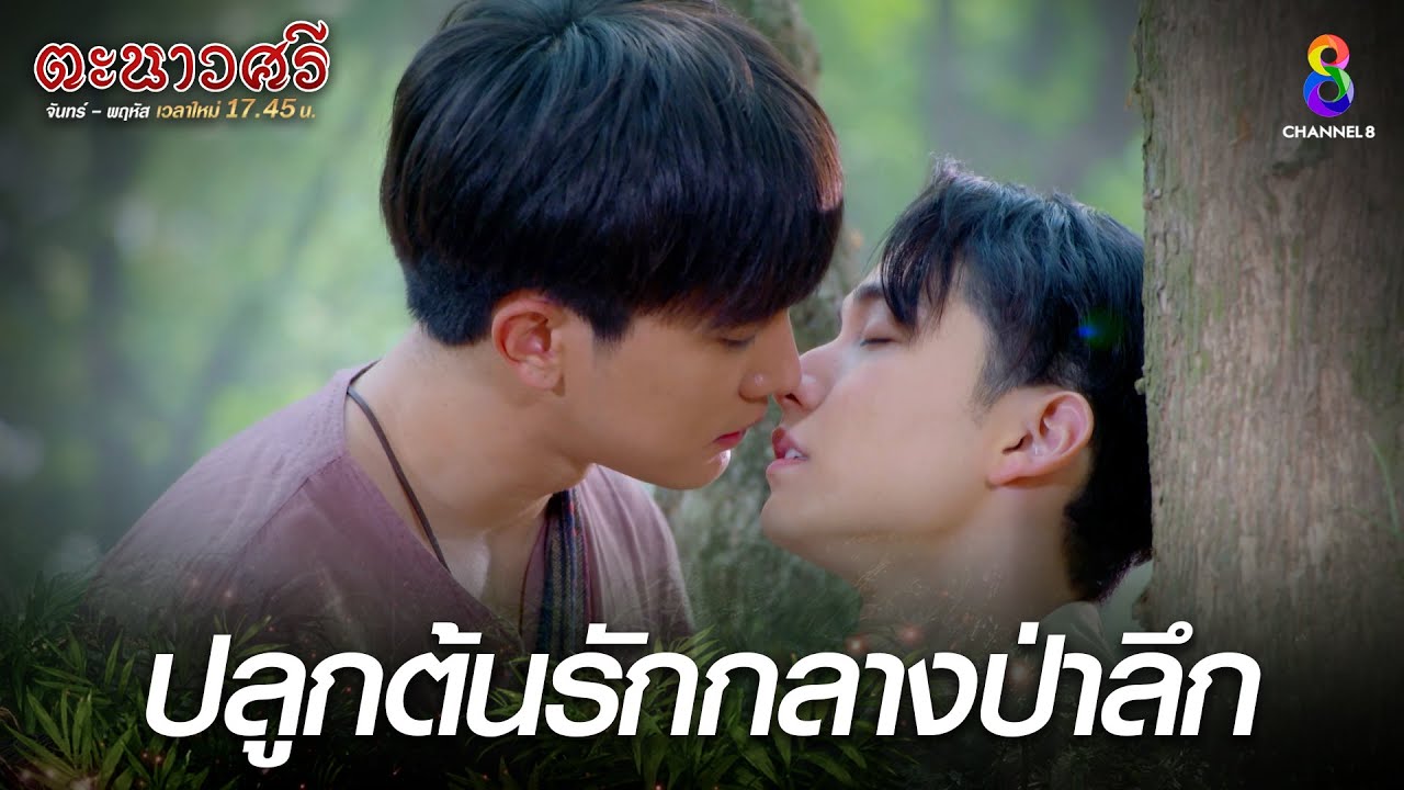 ปลูกต้นรักกลางป่าลึก | HIGHLIGHT ตะนาวศรี EP8 | ช่อง8