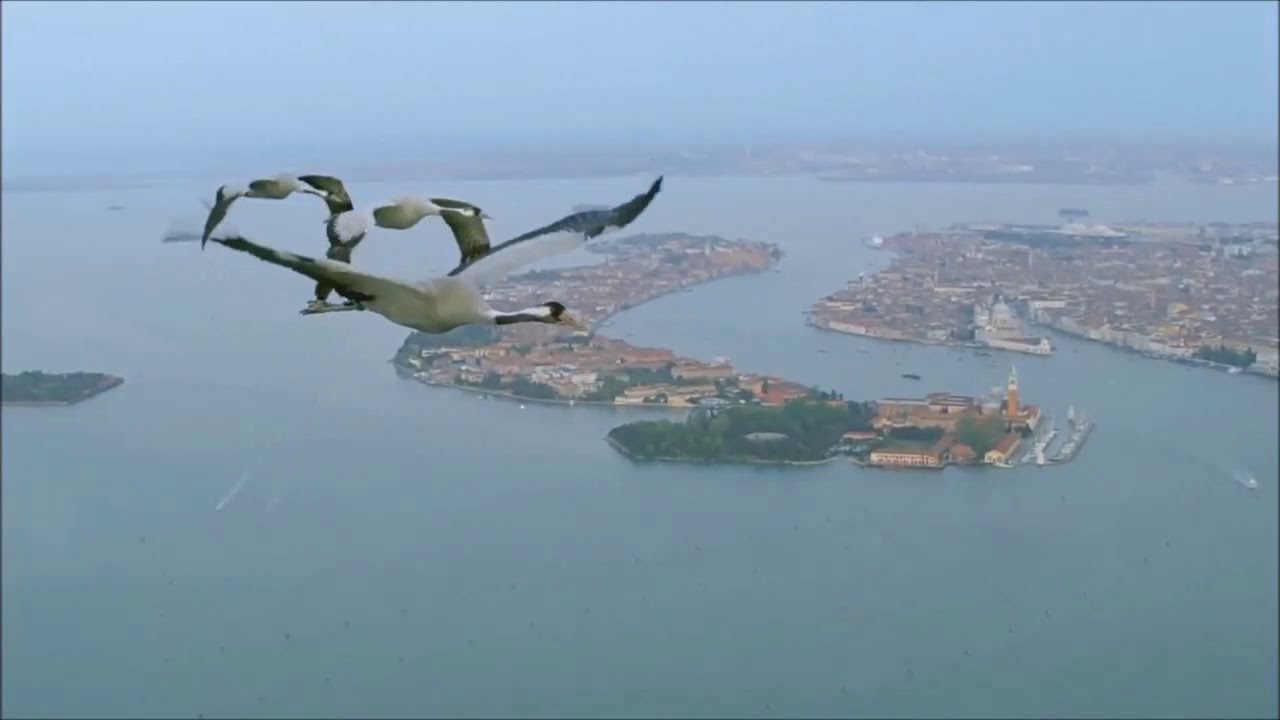 Ali Tel-İkindi Ezanı