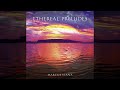 Marcus viana  ethereal preludes  lbum completo