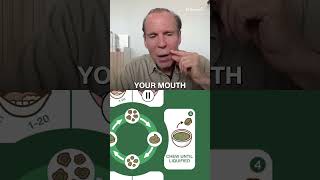How to Chew Your Food to Maximize Nutrient Absorption from Every Meal