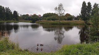 Старый Петергоф Госпиталь Олейник Аэродром