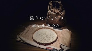 #新潟食堂 model_No.1「米」【予告】