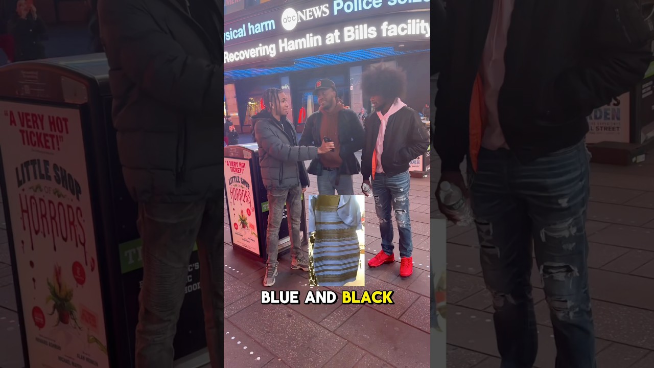 What Color Is This Dress? Blue & Black or White & Gold Part 2