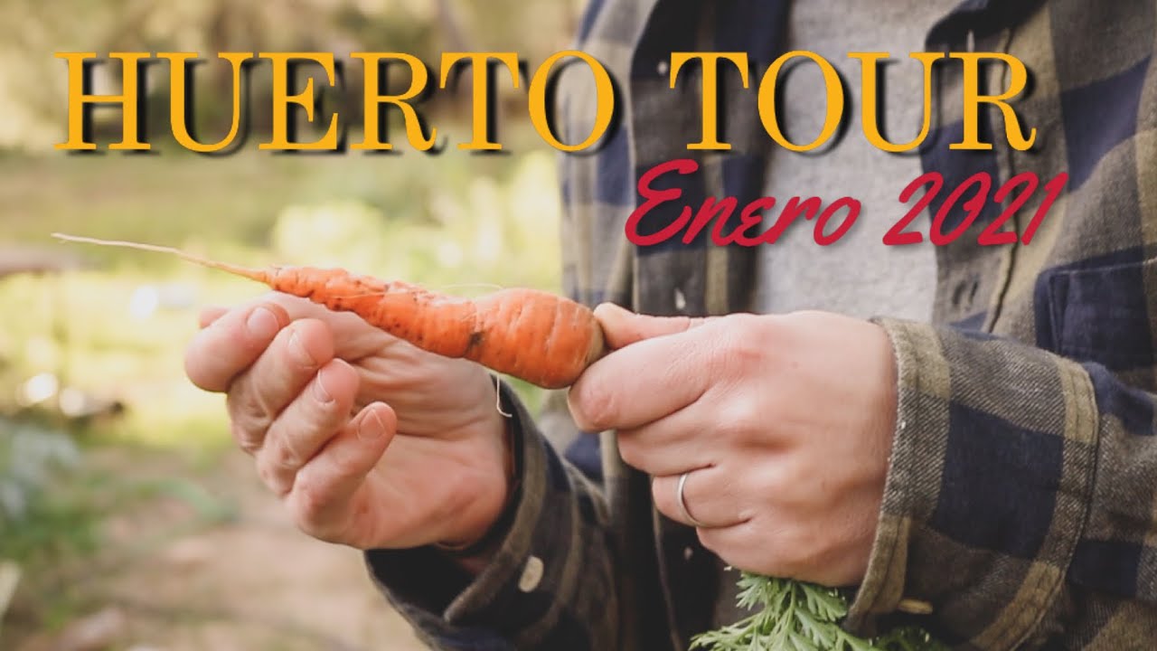 El Huerto en Enero 2021 - Tras un Invierno Desastroso Hay que Planear para la Primavera - HuertoTour