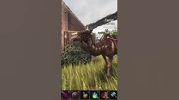 Unlock the Secret to Riding Camels in Conan Exiles #conanexiles #camel #shorts