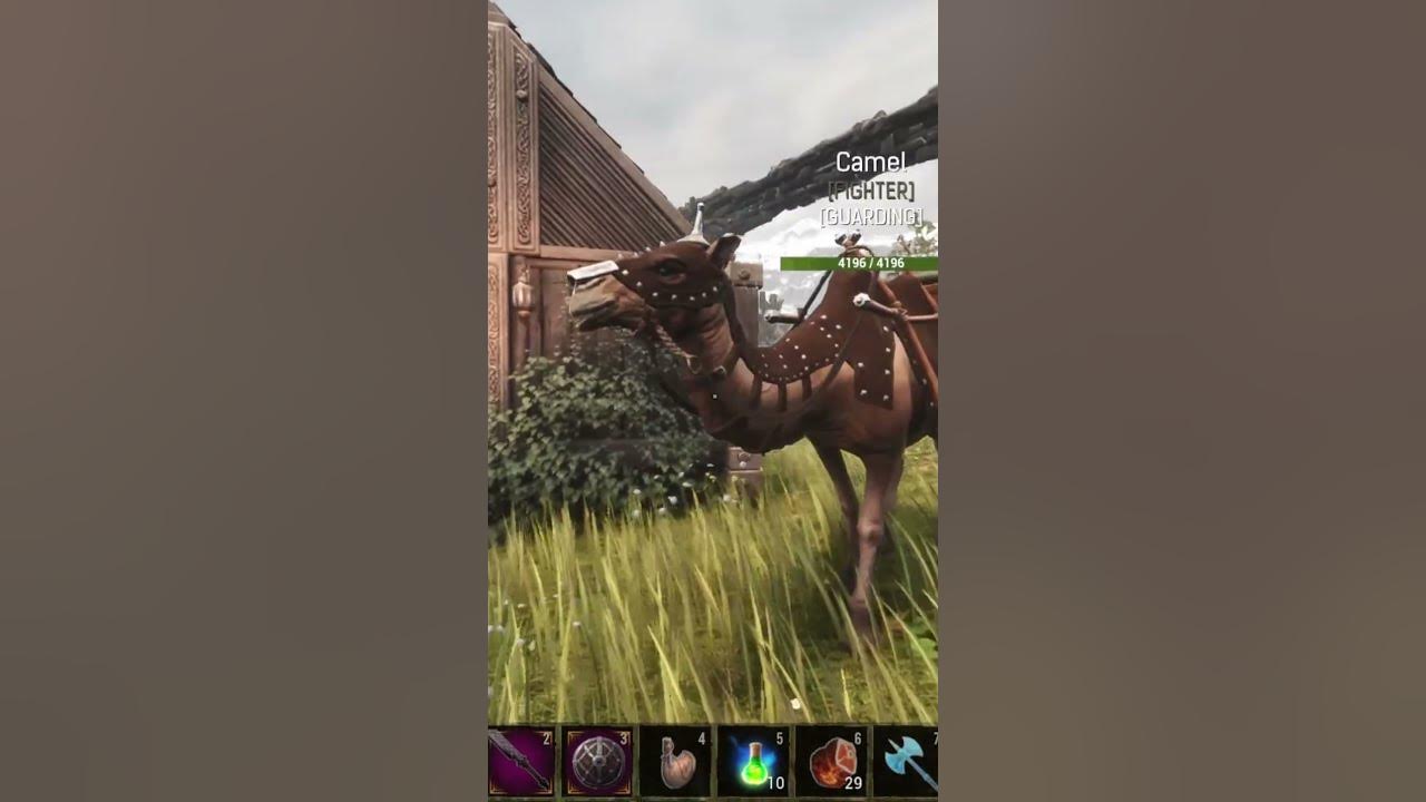 Unlock the Secret to Riding Camels in Conan Exiles #conanexiles #camel