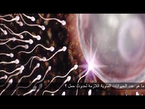 ما هو عدد الحيوانات المنوية اللازمة لحدوث حمل Youtube