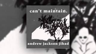 AJJ (Andrew Jackson Jihad) - Can't Maintain