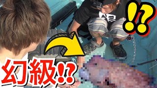 きまぐれクックと珍魚釣り対決したら幻級のアノ魚が釣れた！？