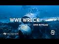Palau in 16K 360° VR | Sharks, Blue Holes &amp; WWII Wrecks (Apple Vision Pro Trailer)