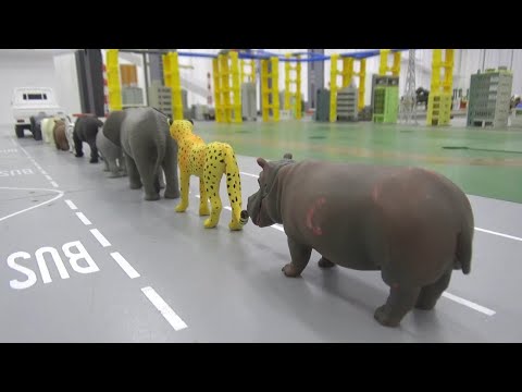 <strong>10</strong> Animals ride truck <strong>toys</strong> play 10마리 동물 트럭 타기 장난감 놀이